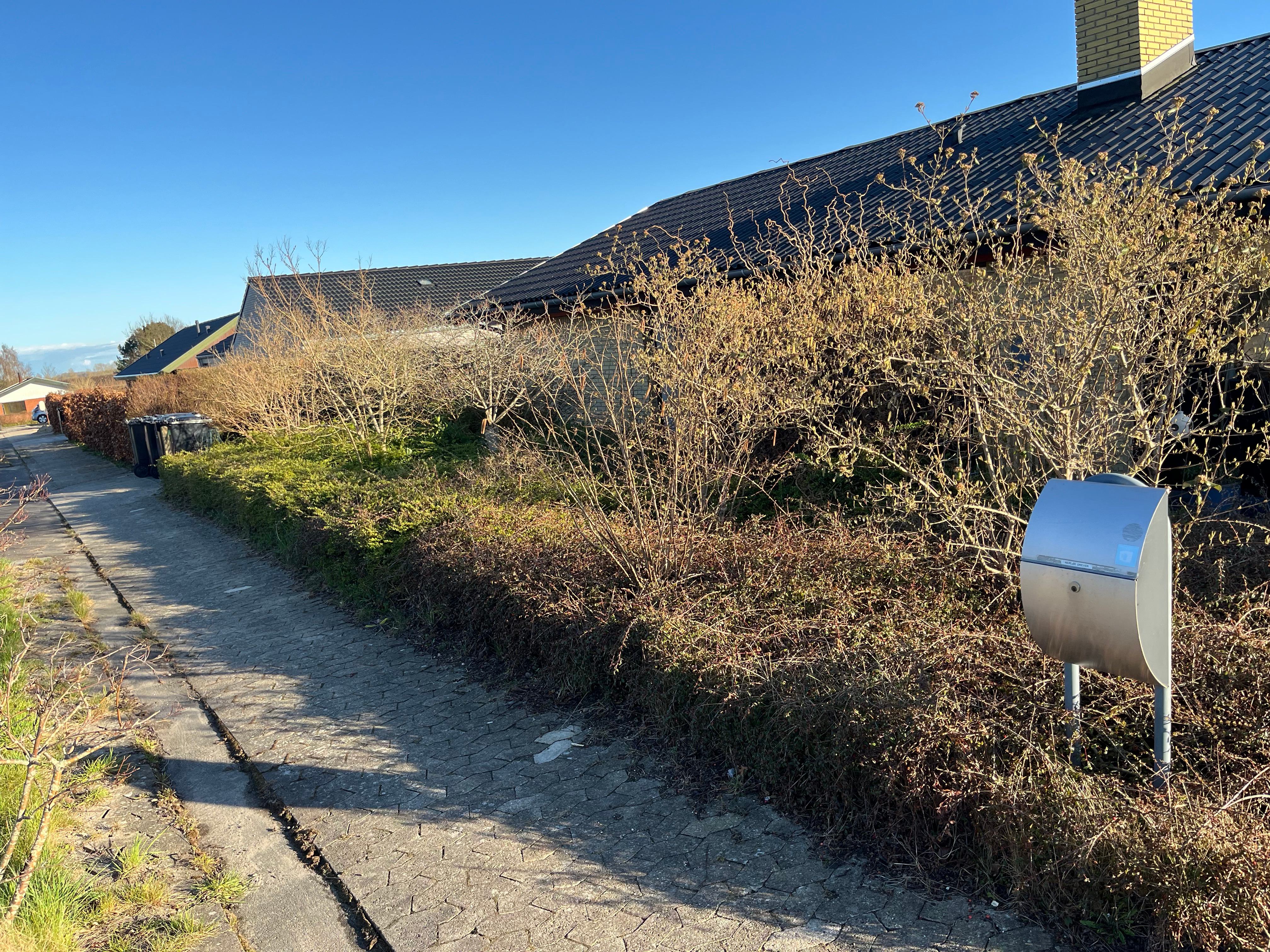 Før: Overvokset havebed med ukrudt og uordentlig vegetation
