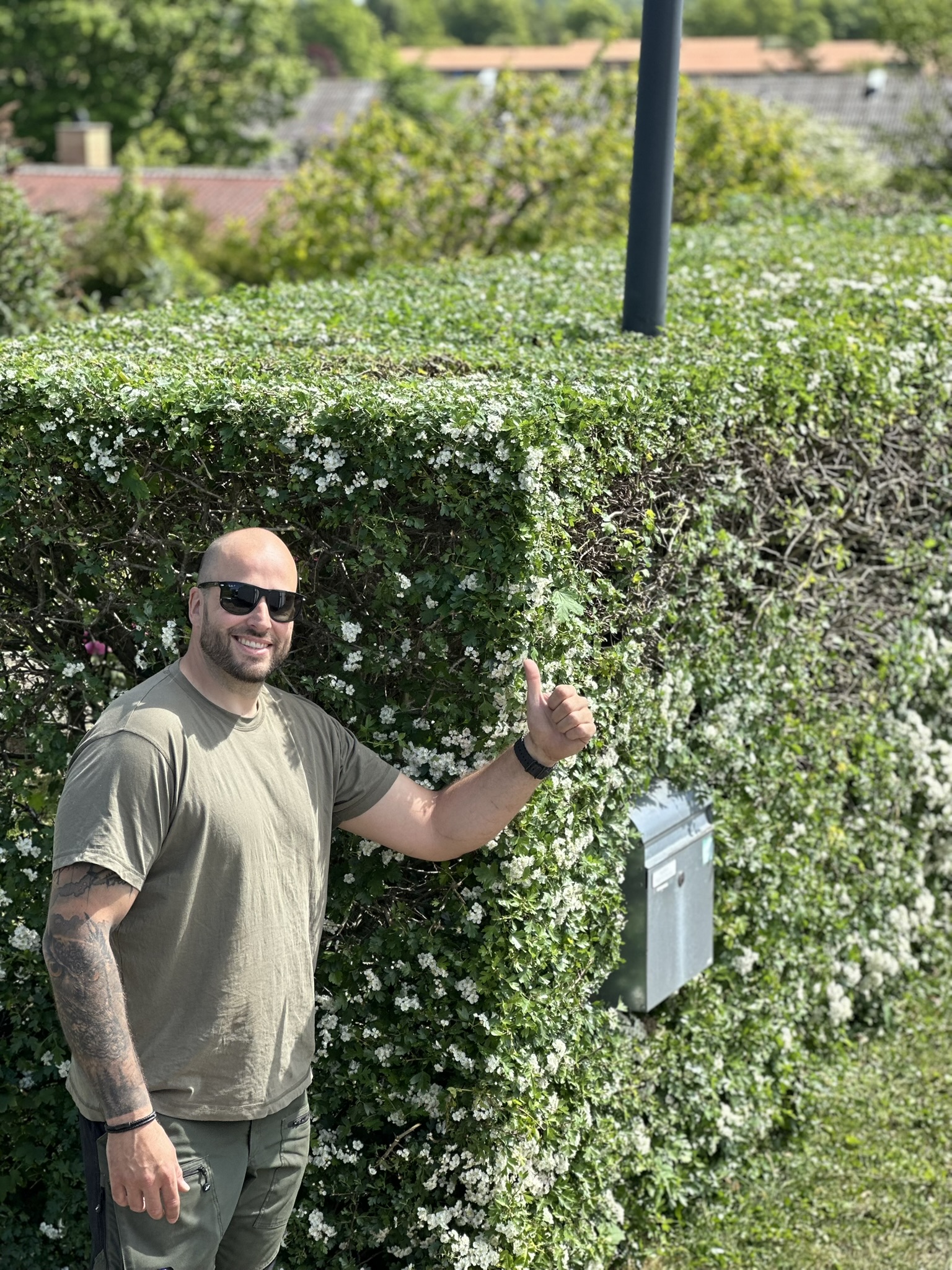 Professionel gartner ved en smukt klippet hæk med blomster
