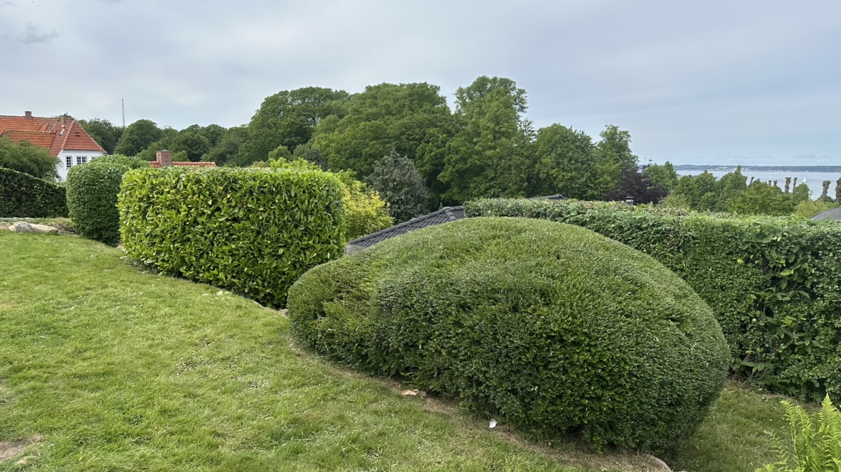 Kunstnerisk topiary hækkeklipning med perfekt formede kugler og geometriske former i Nordsjælland